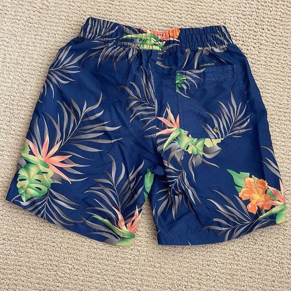 Quicksilver Boys Swim Trunks Sz.10 - Picture 2 of 3